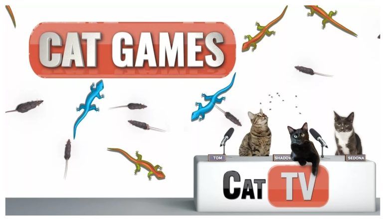 Cat TV games
